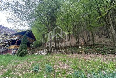 Casă cu 5 camere cu Teren 900 Mp în Ighiu - 10