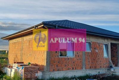 Gulia, casă parter 4 camere + dependințe 112 mp utili, curte 470 mp - 5