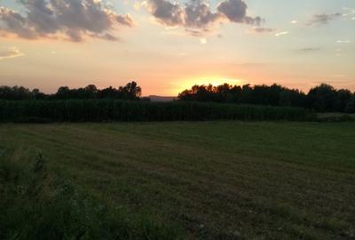 Sat Sabolciu 3 terenuri intravilane urbanism, de cate 1000  mp, - 1