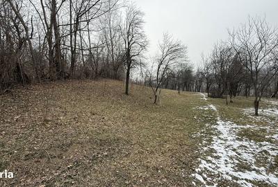 Teren de 4652 mp, în Șotrile - 2