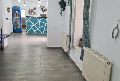 Casă cu 2 camere cu Teren 725 Mp în Săbed - 1