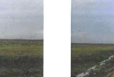 Teren pasune Luciu, cota parte 10000/407492 ; ID: R2766691 - 4