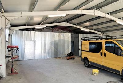 Hala Industriala, Parcul Industrial, Bors, De Inchiriat - 16