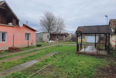 Casă cu 4 camere cu Teren 2175 Mp în Mailat - 9