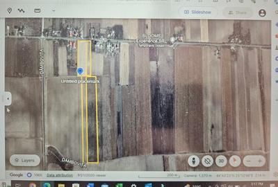 Teren agricol extravilan de 58000 mp, în Crângurile - 1