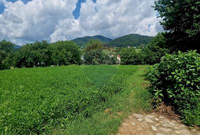 Teren 2743 mp, 2 fronturi, asfalt - Viisoara, Neamt - 17