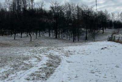 Teren de 3400 mp, în Petros - 6