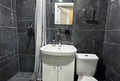 Garsonieră în Tineretului - 4