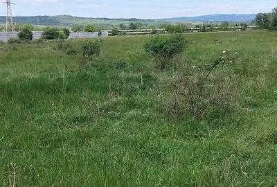 Spațiu comercial, în Exterior Vest - 1