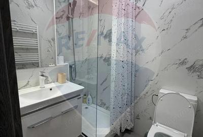 Studio de inchiriat in brazda - 3