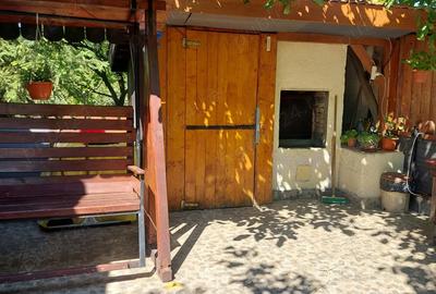 Casa tip cabana cu livada jud Alba - 4