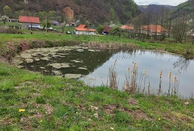 Spațiu comercial, în Bulz - 5