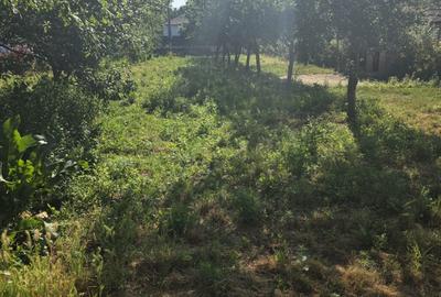 Casă cu 4 camere în Florica - 3