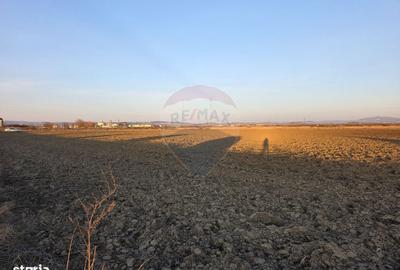 Spațiu comercial, în Stupini - 5