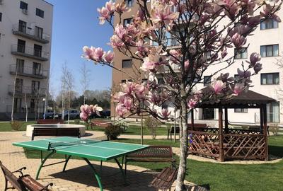 Apartament cu 3 camere decomandat, mobilat în Nord - 12