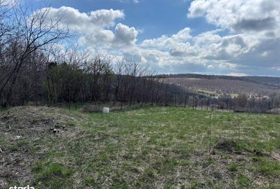 Spațiu comercial, în Feleacu