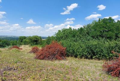Spațiu comercial, în Curături - 5