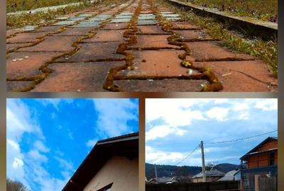 Casă cu 4 camere cu Teren 492 Mp în Bascov - 2