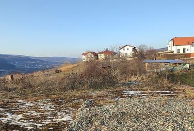 Teren de 1500 mp, în Baciu - 3