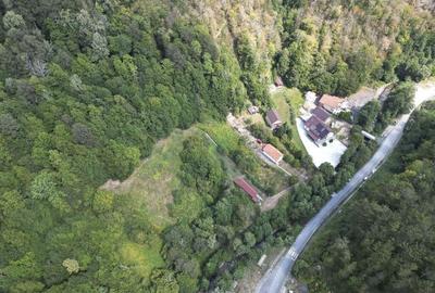 Teren intravilan de 1500 mp pe deal in Moneasa - 8