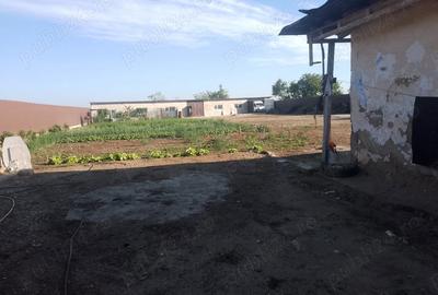 Casă cu 3 camere în Băneasa - 2