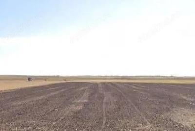 Teren de 16700 mp, în Amaru