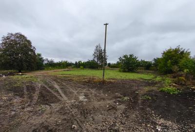 Hala + teren 8000mp de inchiriat, zona Manastioara, Siret Hala + teren 8000mp de inchiriat, zona Manastioara, Siret - 21