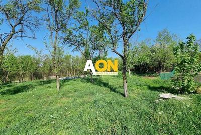 De vanzare 1365 teren intravilan, cu utilitati, Oarda de Sus - 4