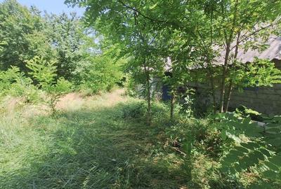 Butimanu Teren Intravilan Utilitati OFERTA - 8