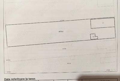 Casă cu 3 camere cu Teren 1783 Mp în Voiteg - 2