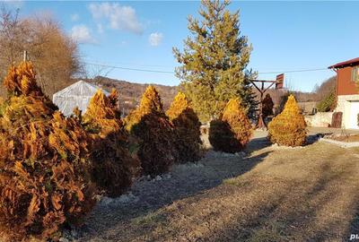 Casă cu 5 camere cu Teren 5600 Mp în Stejaru - 1