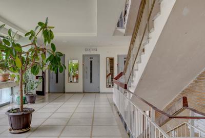 LIVIU REBREANU - PARK LAKE, GARSONIERA 30 MP, PANORAMA! - 10