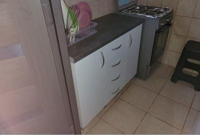 Apartament cu 2 camere semidecomandat în Valea Rosie - 2