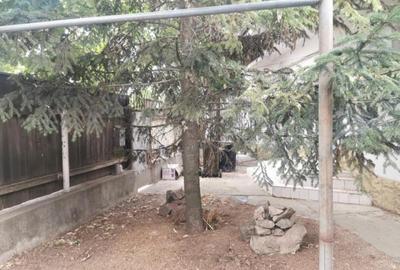 Casă cu 3 camere cu Teren 450 Mp în Chercea - 4