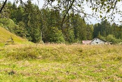 Teren intravilan Valea Doftanei - 12