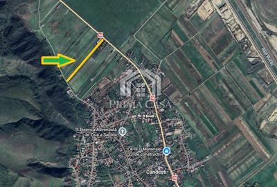 Teren intravilan de 6400 mp, în Cândești - 3