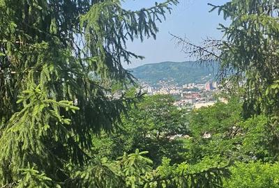 Casă cu 3 camere cu Teren 1800 Mp în Golești - 4