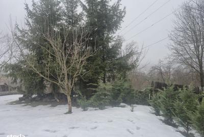 Casă cu 3 camere cu Teren 1400 Mp în Central - 10