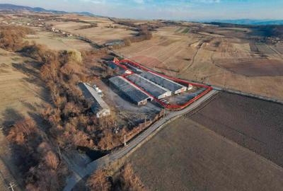 De vanzare spatii de productie si depozitare (hale),Sat Gheghie-Bihor - 10