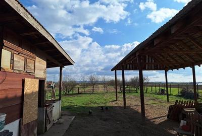 Reco, Casa si Hala industriala Sabolciu - 4