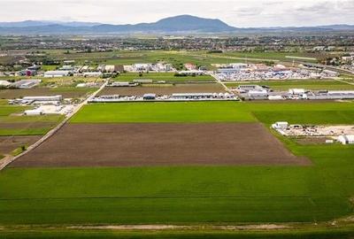 FILM! Teren intravilan, 10.000 mp, Grivitei, Brasov - 3