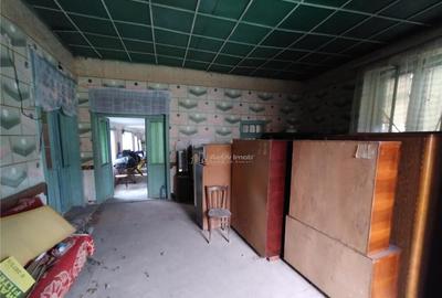 Bogodint, Casa 440mp cu 4 Hectare Teren, Pret Negociabil - 17