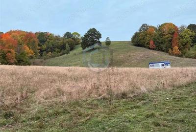 Teren intravilan 17,265 mp in Tomnatic, comuna Vadu Crisului - 4