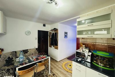 Garsonieră în Terezian - 4