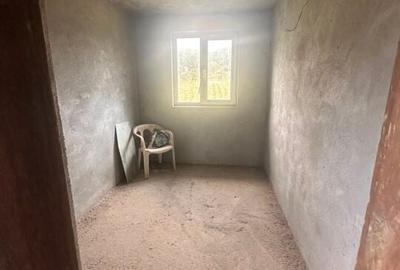 CASA/SPATIU COMERCIAL - GENUNENI - 14