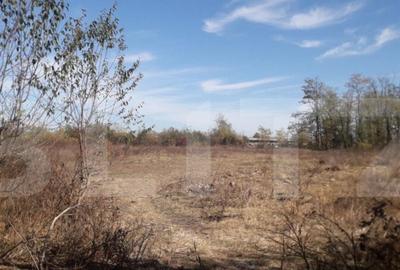 Teren 7240mp, zona Prelungirea Panduri - 2