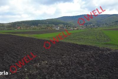 Teren de 5000 mp, în Ozun - 3
