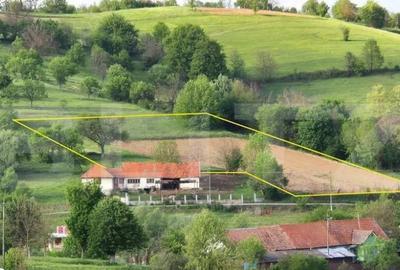 Teren intravilan de vanzare, 2962 mp, zona Sulighete, Deva - 3