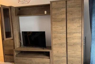 Berceni metaurgiei postalionului - 3