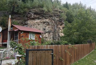 Casa de vanzare la munte! - 5